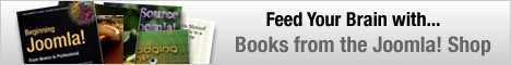 The Bliss Fire Books
